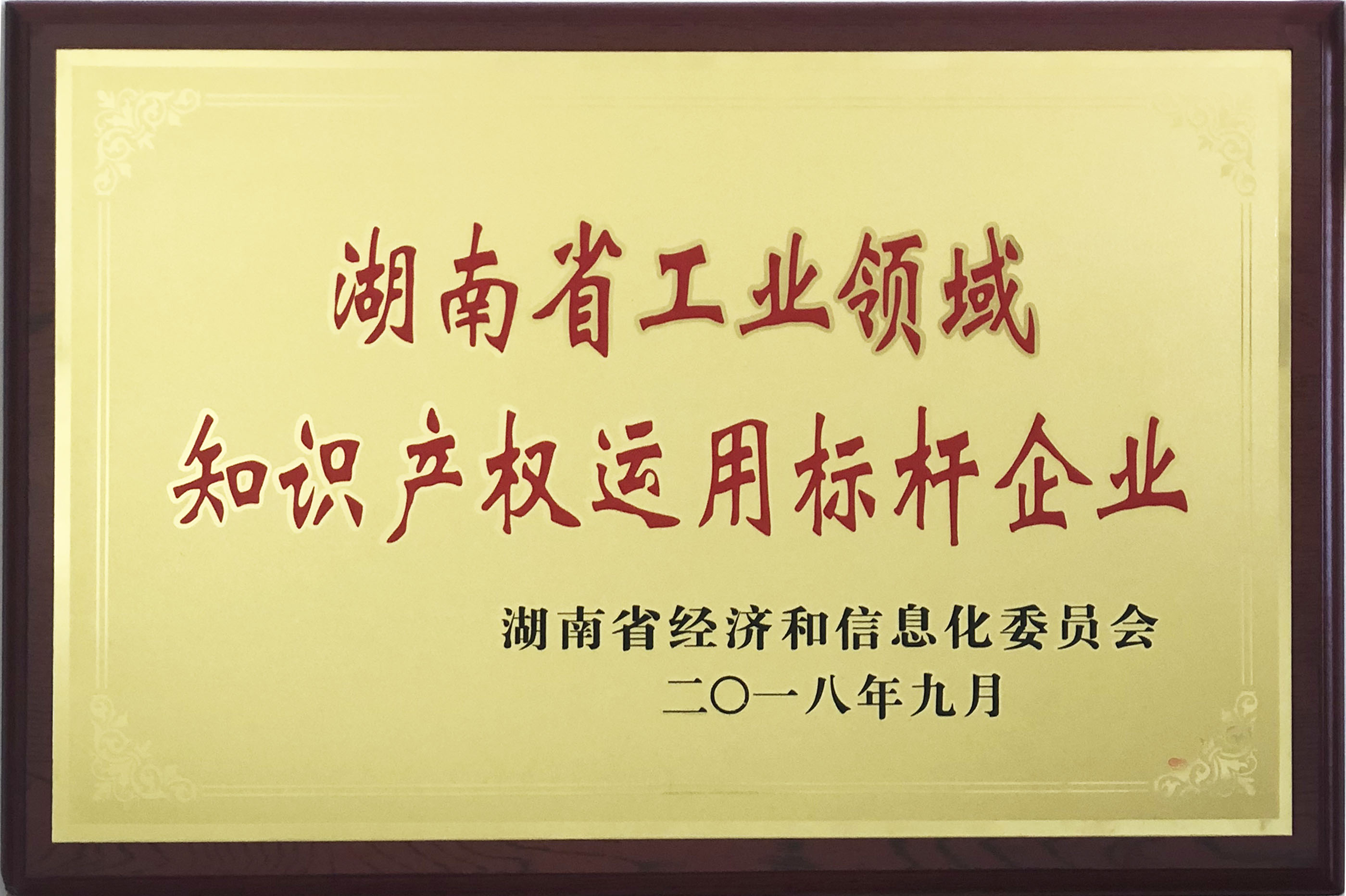 湖南省工業(yè)領(lǐng)域知識產(chǎn)權(quán)運(yùn)用標(biāo)桿企業(yè)